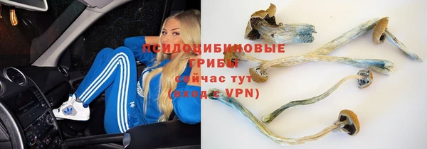кокс Абдулино
