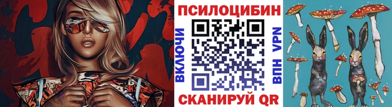 как найти закладки  Нахабино  Псилоцибиновые грибы мицелий 